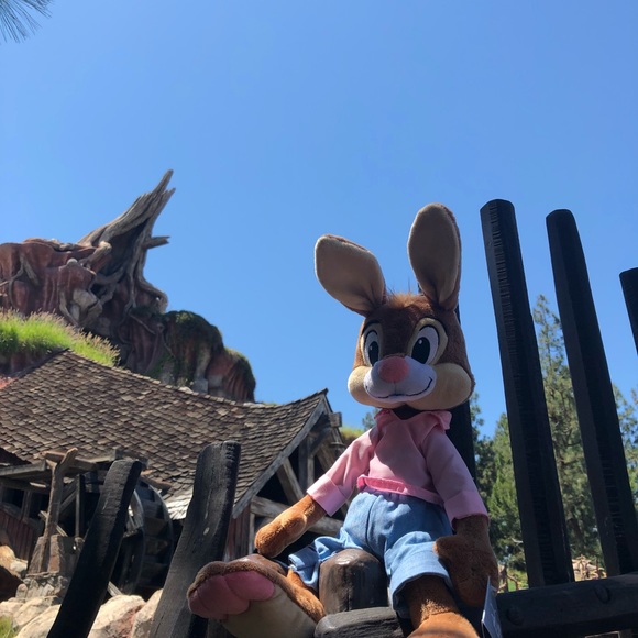 Disney Parks Splash Mountain Briar Br’er Rabbit - Picture 6 of 6